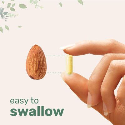 Saffron+ Complete Daily Formula